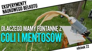 Co odpowiada za reakcję mentosów z colą  Eksperymenty NB 22 [upl. by Jordison609]