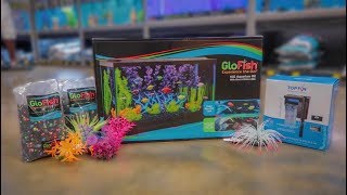 NEW GLOFISH 10G AQUARIUM SETUP [upl. by Marutani]