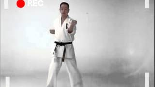 Sanchin kata kyokushin karate [upl. by Otiv311]