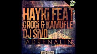 Hayki feat Grogi amp Kamufle  Adrenalin [upl. by Nimar125]