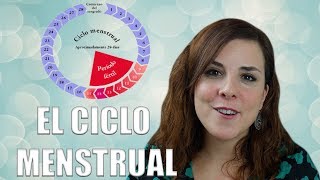 🩸El CICLO MENSTRUAL 🩸 Fase Folicular 🩸Menstruación y Fase proliferativa🩸 [upl. by Edlyn566]