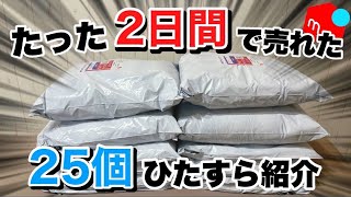 【爆売れ】メルカリ2日間で売れた25個を実売データ付きで紹介します！ せどり初心者l利益商品 [upl. by Avin898]