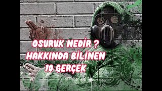 OSURUK NEDİR  HAKKINDA BİLİNEN 10 GERÇEK [upl. by Linskey]