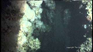 RMS Carpathia Wreck Diving Expedition 2007 [upl. by Alysoun]