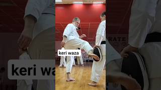 Different types of Mae geri and Mawashi Geri Dormenko Andrey sensei karate martialarts [upl. by Nawek]