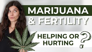 Planning for Pregnancy How Marijuana Could Be Hindering Your Fertility [upl. by Evelinn]