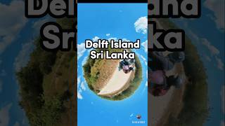 Delft Island Sri Lanka 🇱🇰 shorts viralvideo travel amazing srilanka fyp asiancountry [upl. by Anerac]