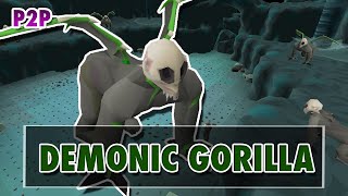 OSRS Guia basica de DEMONIC GORILLAS  Runescape oldschool OSRS MEMBER [upl. by Raynold354]