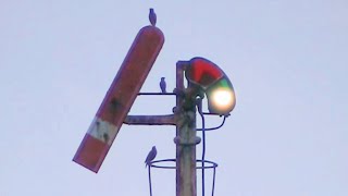 Last Semaphore Signal on the Hurstbridge Line  February 2013 [upl. by Zena]