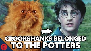 Harry Potter Theory Who Was Crookshanks Original Owner [upl. by Ovatsug]