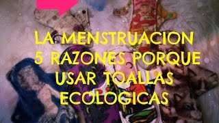 Toallas Ecologicas SOLO 5 RAZONES [upl. by Tedda]