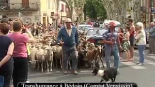 04  PROVENCE  Folklore Farandole et Fêtes provençales [upl. by Clotilde]