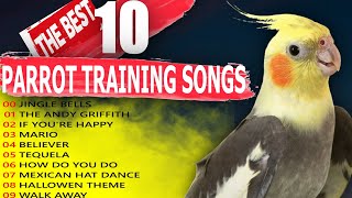 THE BEST 10 PARROT TRAINING SONGSCockatiel Singing TrainingBudgieBird [upl. by Dirtsa]