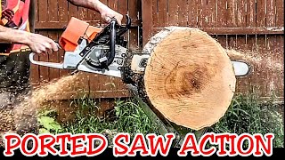 PORTED SAWS IN ACTION 💯 ported  machined NOS saws hybrids 15 min of chips flying [upl. by Amilas]