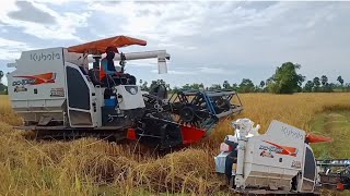 Kubota Tractor Power Harvester [upl. by Nofpets]