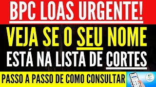 PENTE FINO BPC  VEJA SE O SEU NOME ESTÁ NA LISTA E COMO NÃO PERDER O BENEFÍCIO [upl. by Meehan]