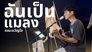 ฉันเป็นแมลง  คณะขวัญใจ  basbuachoo cover [upl. by Ellekim]