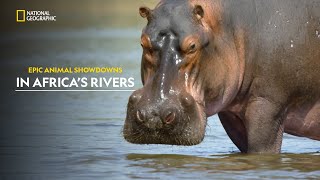 Rivers of Danger  Africas Deadliest  हिंदी  Full Episode  S6  E2  Nat Geo [upl. by Oir87]