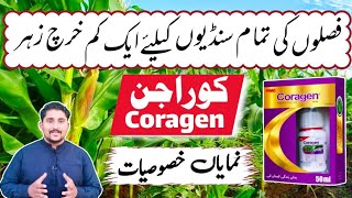 Coragen 20 SC a Useful Insecticide  Coragen Insecticide  Apna Kisan Pakistan [upl. by Akimed652]