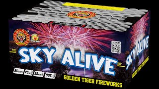 GT004 SKY ALIVE 80 Shot 13G Barrage by Golden Tiger Fireworks [upl. by Ikeda]