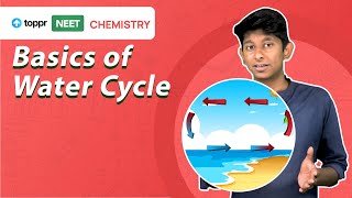 Basics of Water Cycle  NEET 2021 Biology  Toppr NEET [upl. by Grekin578]