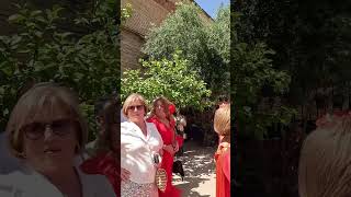 4K Cordoba Spain  Walking Tour April 2024 [upl. by Nelyaw701]