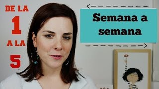 PRIMEROS SINTOMAS de EMBARAZO  PRIMER MES  SEMANAS 15 [upl. by Nnylesor]