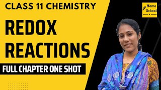 Redox Reactions In Full Shot  Class 11 Chemistry [upl. by Assetniuq]