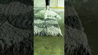 Ultimate Carpet Cleaning Experience [upl. by Alauqahs]