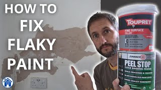 How to FIX FLAKY PAINT Peeling paint DIY repair How to use fine surface filler Flaking paint fix [upl. by Pilar354]