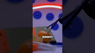 Watch How Sharp These Scissors Cut Through an Orange ✂️ [upl. by Cory]