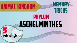 Phylum Aschelminthes easy learning tricksAnimal kingdom NEET plus one preparation [upl. by Sinnod]