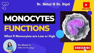 Monocytes  Functions  What If Monocytes are Low or High [upl. by Doralia942]