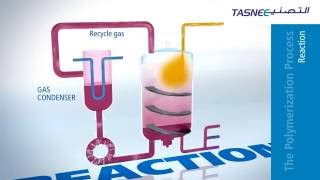 Polypropylene PP Production Process Overview [upl. by Gauldin]