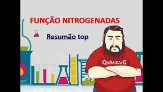 Funções Nitrogenadas  Resumão Top [upl. by Lorette]