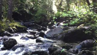 Donich Falls walk above Lochgoilhead in Argyll [upl. by Notxed285]