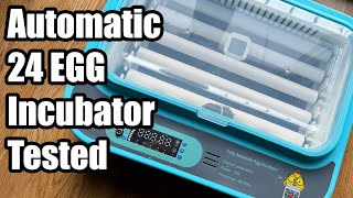 Fully Automatic Egg Incubator Full Test Aliexpress Finds EP 11 [upl. by Elexa]