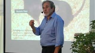 Bruce Lipton  La Mente è più Forte dei Geni  DVD [upl. by Aloisia271]