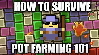 How To Survive ROTMG  Wizard Guide POT FARMING [upl. by Alimac]