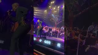 Young Stunna performs “Adiwele” at Kabza De Smalls Red Bull Symphonic Orchestra [upl. by Cindie]