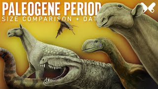 PALEOGENE PERIOD Animals Size Comparison and Data [upl. by Minni]