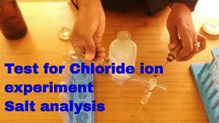 Test for Chloride ionSalt analysis Class 12 2021Salt analysis Class 11 2021Chemistry Practical [upl. by Osugi]