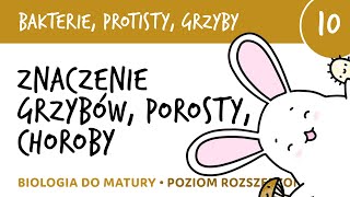 Znaczenie grzybów porosty grzybice i inne przykrości  Bakterie grzyby protisty 10  biologia [upl. by Llenwad]