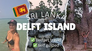 SRI LANKA  Delft Island and Jaffna independent travel in the north [upl. by Ilka]