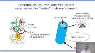 ISMRM MR Academy  Magnetization Transfer amp T1 Contrast Mechanisms Sensing amp Quantifying [upl. by Ceciley]