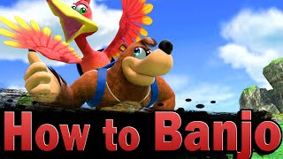 Smash Ultimate How to Banjo amp Kazooie [upl. by Vicky]