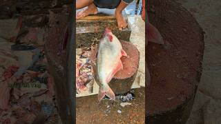 Never Seen 5Kg Live Big Pangas Fish Cutting amp Cleaning Skills 😱 shorts [upl. by Ayifas301]