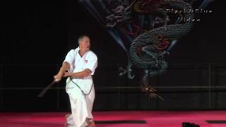 Eric Tremblay 2018 Diamond Nationals Karate Tournament Finals [upl. by Lonni]