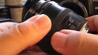 Canon EF 50mm f25 Compact Macro Lens Review [upl. by Ertnod763]