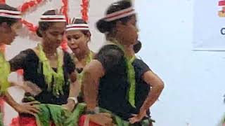 Nicobari dance at TGCE port Blair [upl. by Lira]